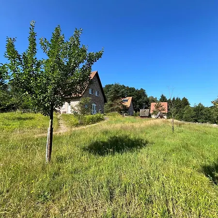 Haus Felsenbirne Im Bispinger Heidezauber By Interhome Semesterbostad